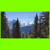 Dreigestirn im Wald.jpg